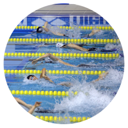 Picture of muliple swimmers competing, leading to the Benefits page of this website